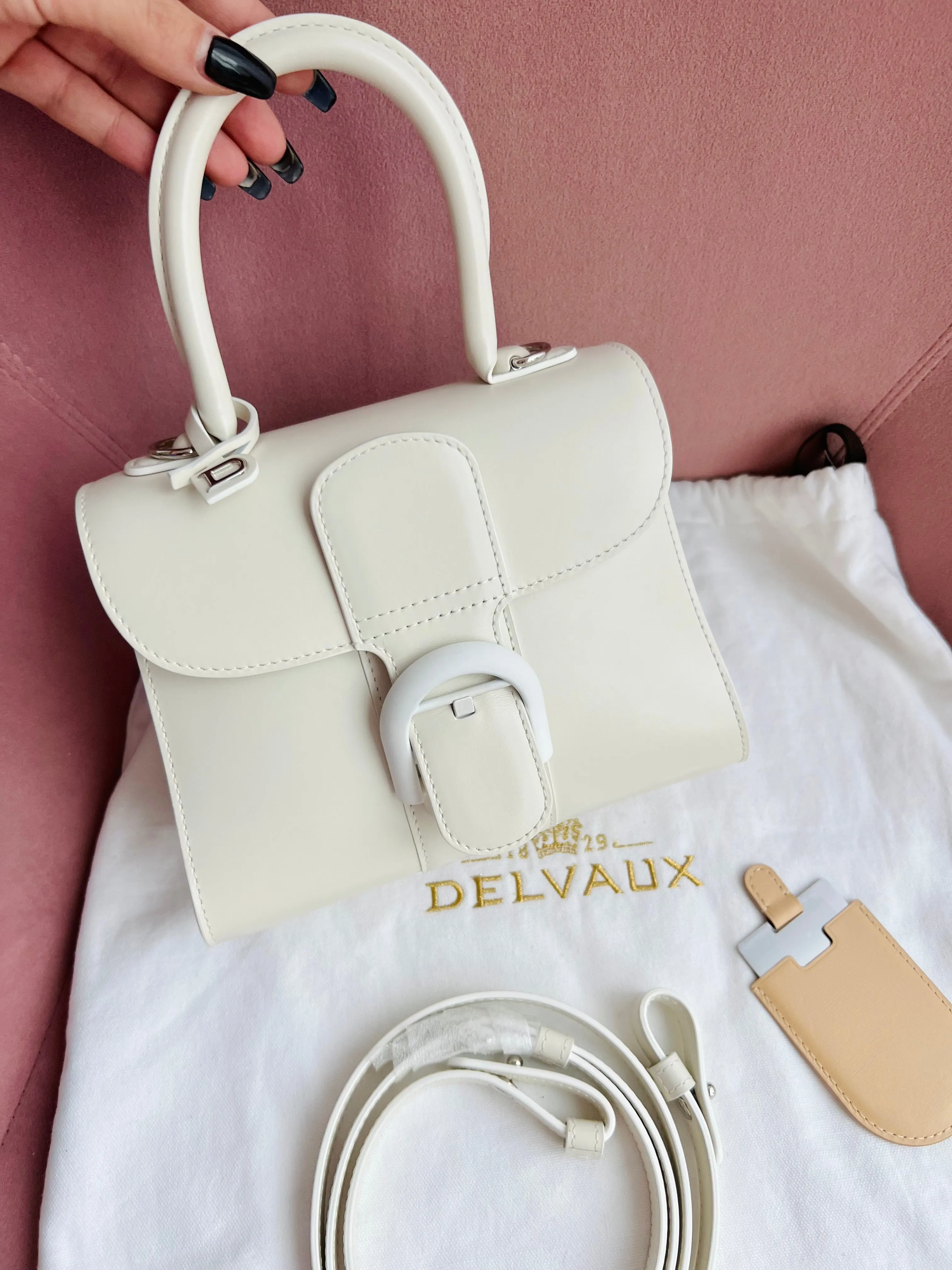 Stunning Delvaux Brilliant Leather Handbag