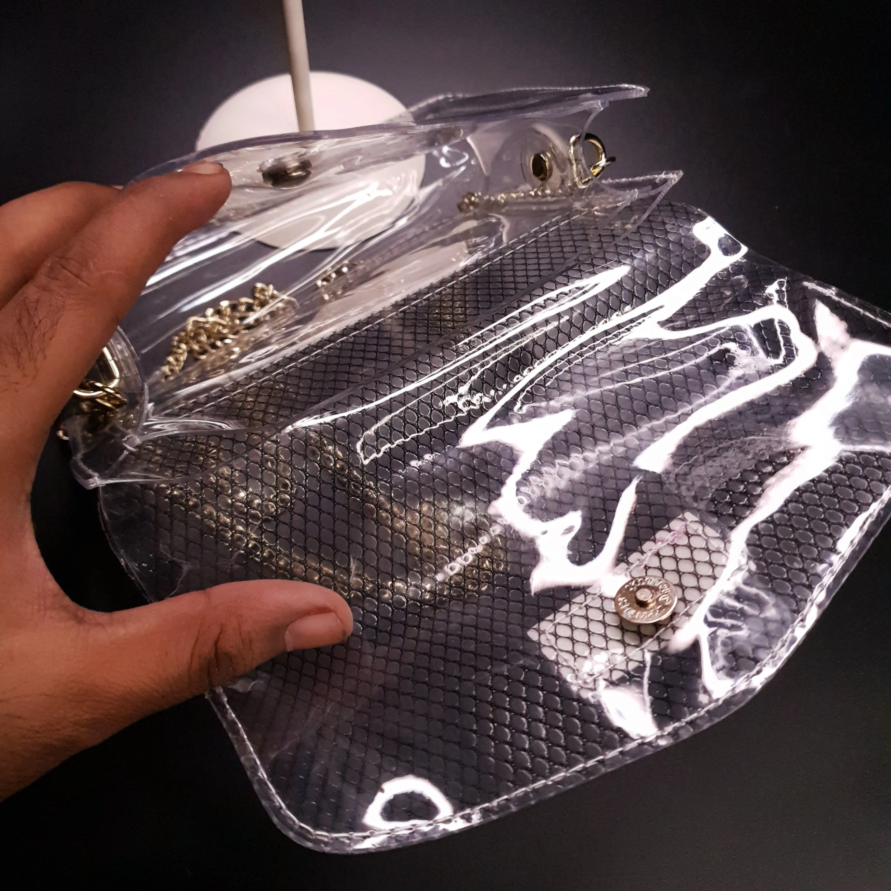 Transparent Crossbody Bag